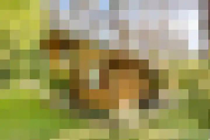 Potdijk 8 H32 Markelo thumbnail 32