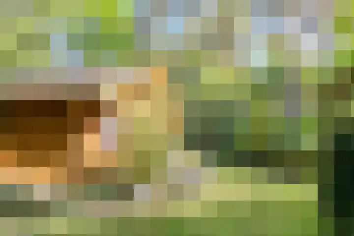 Potdijk 8 H32 Markelo thumbnail 35