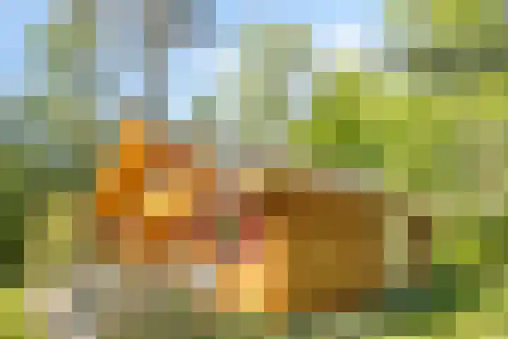 Potdijk 8 H32 Markelo thumbnail 36