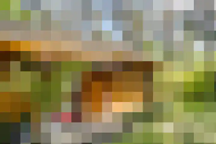 Potdijk 8 H32 Markelo thumbnail 37