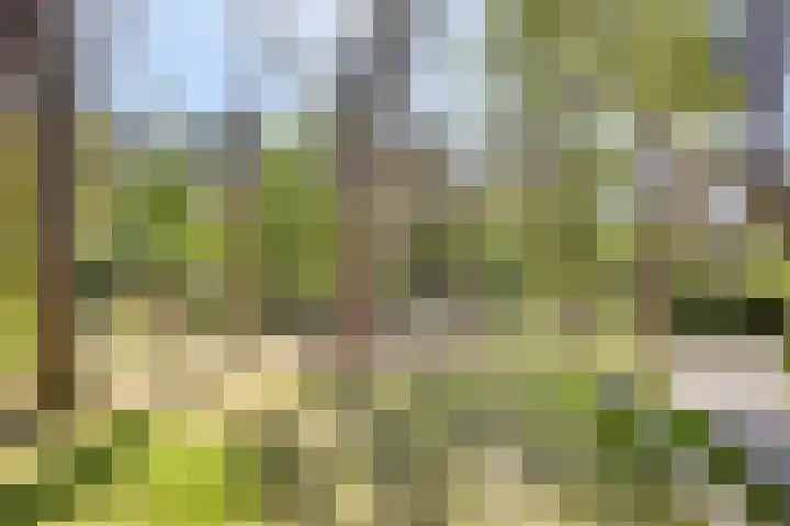 Potdijk 8 H32 Markelo thumbnail 38
