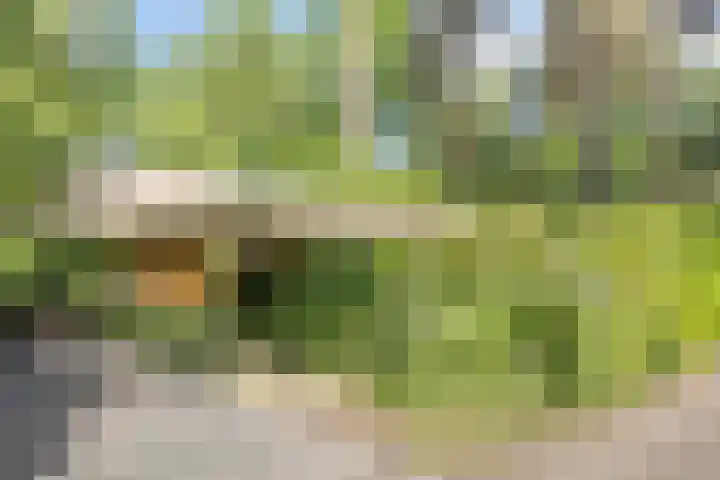 Potdijk 8 H32 Markelo thumbnail 4