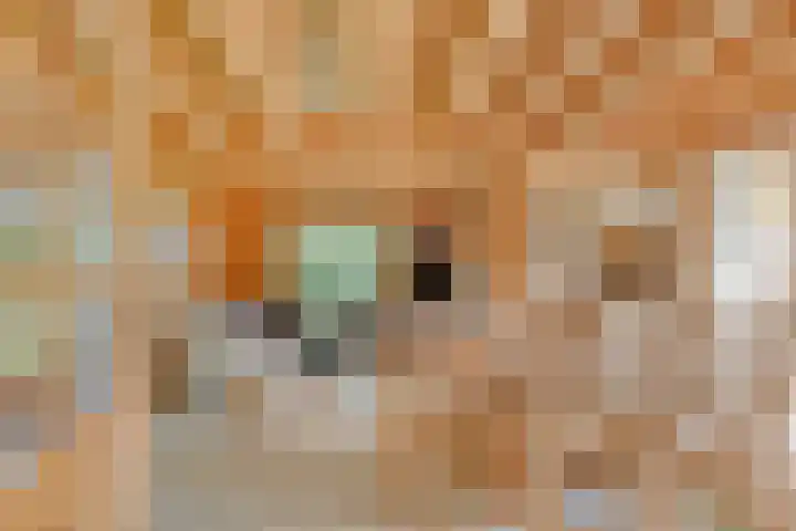 Potdijk 8 H32 Markelo thumbnail 5