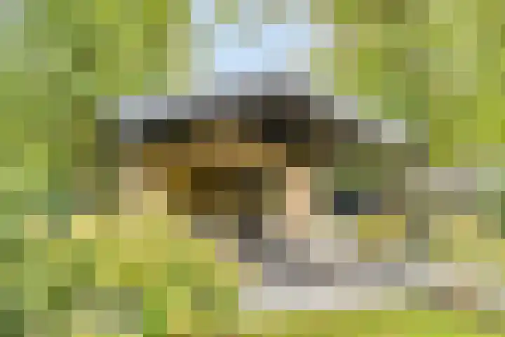 Potdijk 8 S033 Markelo