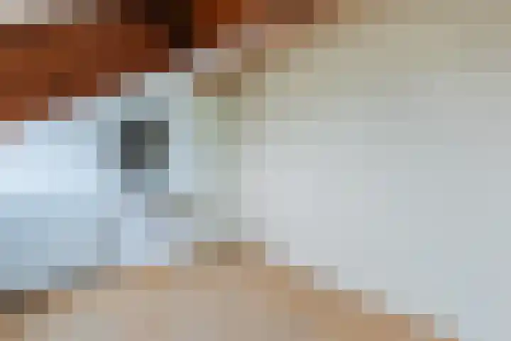 Potgieterstraat 3 Beek thumbnail 33