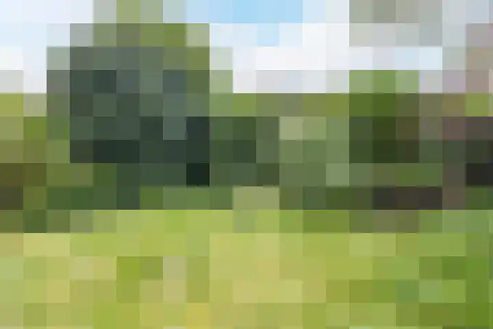 Potgieterstraat 3 Beek thumbnail 39