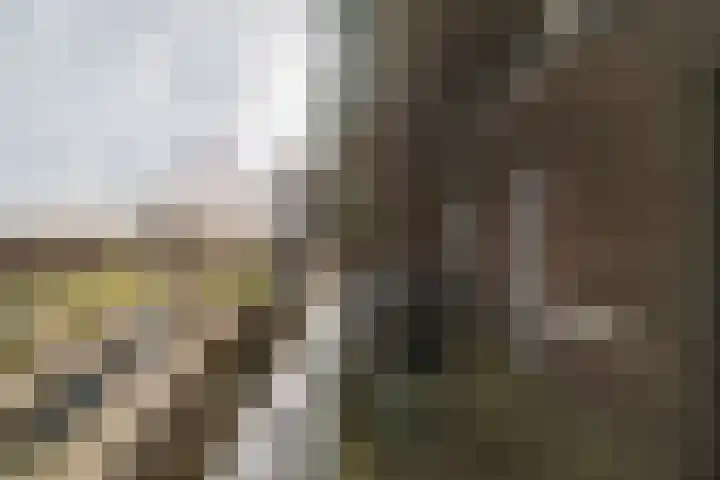 Pothoofd 160 Deventer thumbnail 34