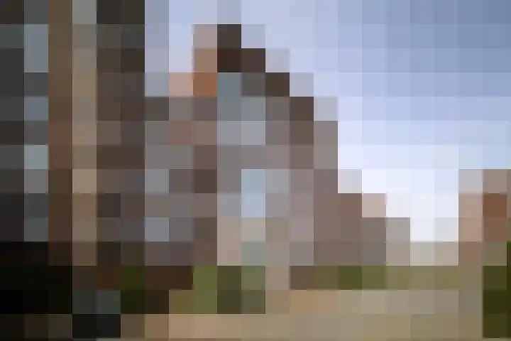 Pothoofd 160 Deventer thumbnail 47