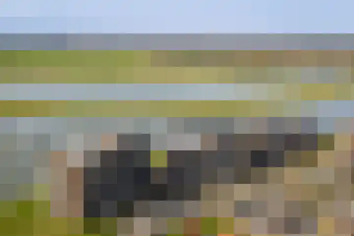 Pothoofd 160 Deventer thumbnail 53