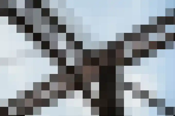 Pothoofd 160 Deventer thumbnail 57