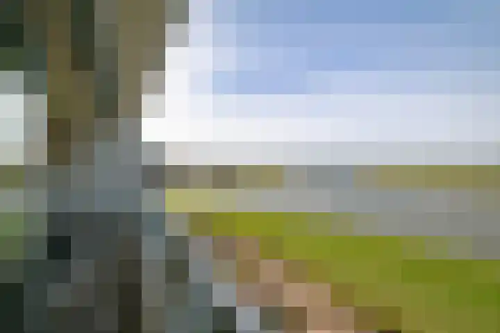 Pothoofd 160 Deventer thumbnail 8