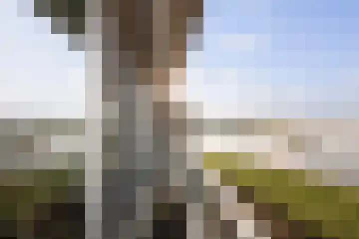 Pothoofd 184 Deventer thumbnail 10