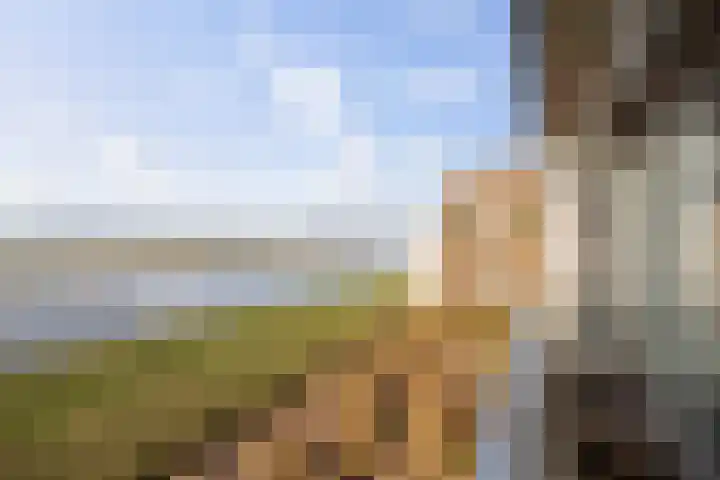 Pothoofd 184 Deventer thumbnail 11