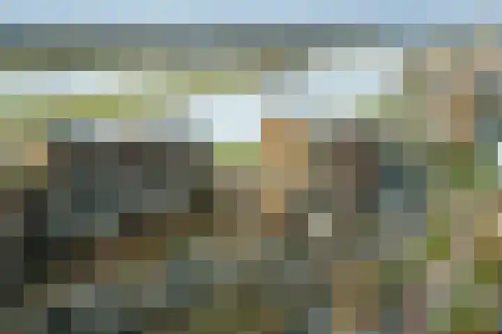 Pothoofd 184 Deventer thumbnail 39