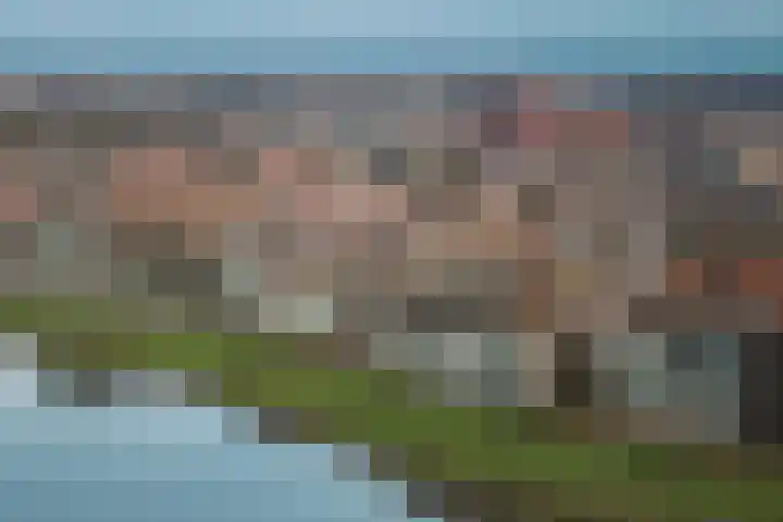 Pothoofd 184 Deventer thumbnail 43