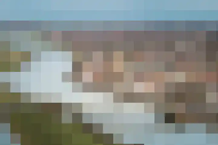 Pothoofd 184 Deventer thumbnail 44