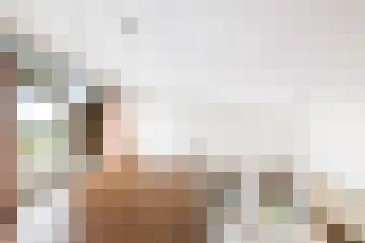 Pothoofd 190 Deventer thumbnail 17
