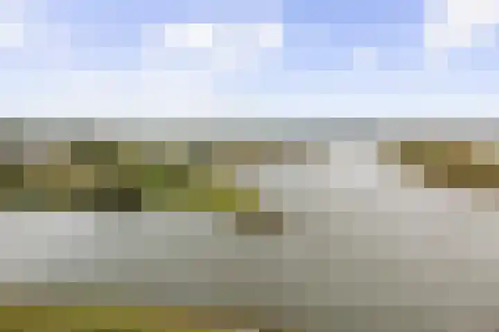 Pothoofd 190 Deventer thumbnail 24
