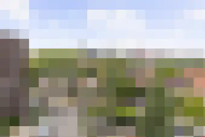 Pothoofd 190 Deventer thumbnail 35
