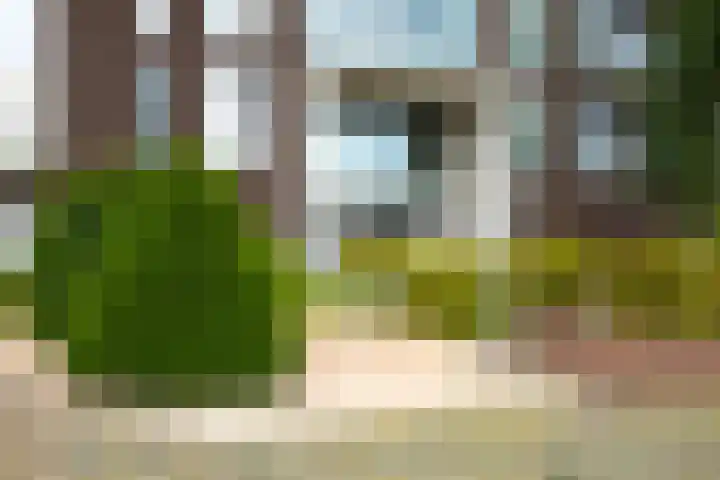 Pothoofd 190 Deventer thumbnail 38
