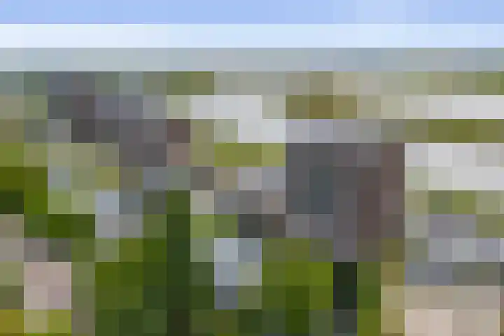 Pothoofd 190 Deventer thumbnail 41