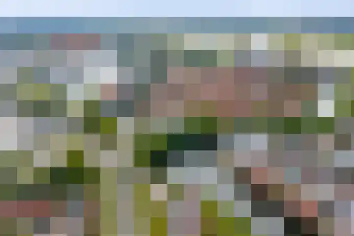 Pothoofd 190 Deventer thumbnail 43