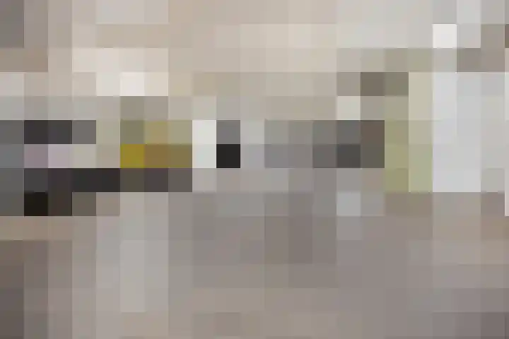 Pothoofd 190 Deventer thumbnail 49
