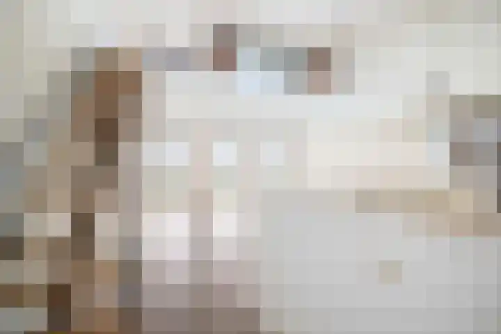 Pothoofd 190 Deventer thumbnail 8