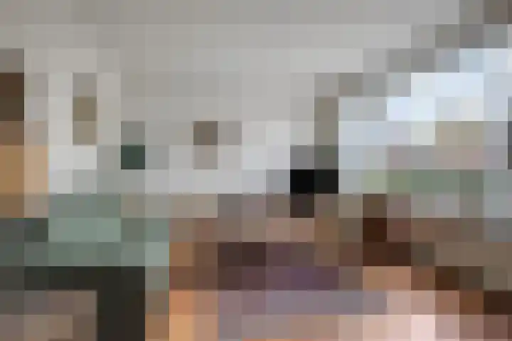 Potsmaat 153 Doesburg thumbnail 10