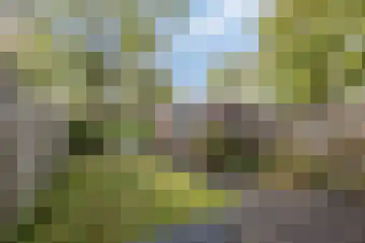 Potsmaat 153 Doesburg thumbnail 21