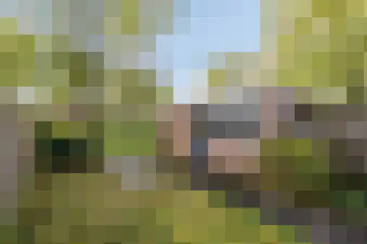 Potsmaat 153 Doesburg thumbnail 22