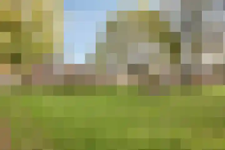 Potsmaat 153 Doesburg thumbnail 24