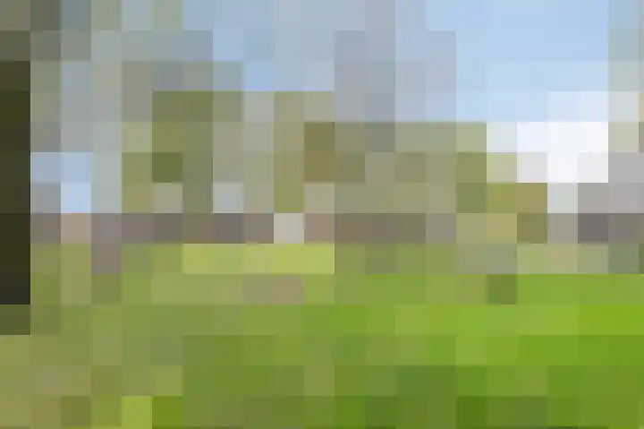 Potsmaat 153 Doesburg thumbnail 25