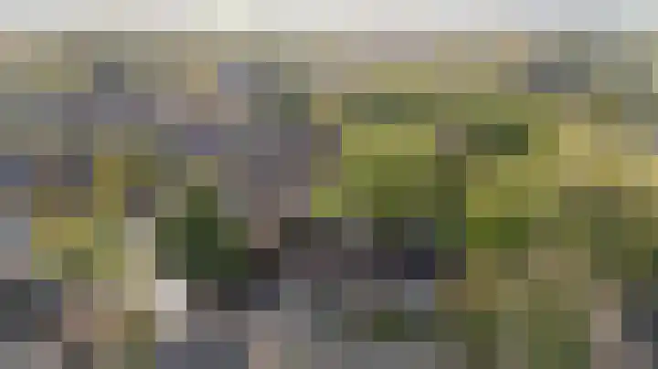Potsmaat 153 Doesburg thumbnail 4