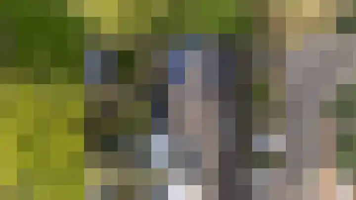 Potsmaat 153 Doesburg thumbnail 48