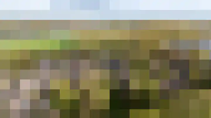 Potsmaat 153 Doesburg thumbnail 49