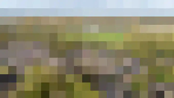 Potsmaat 153 Doesburg thumbnail 50