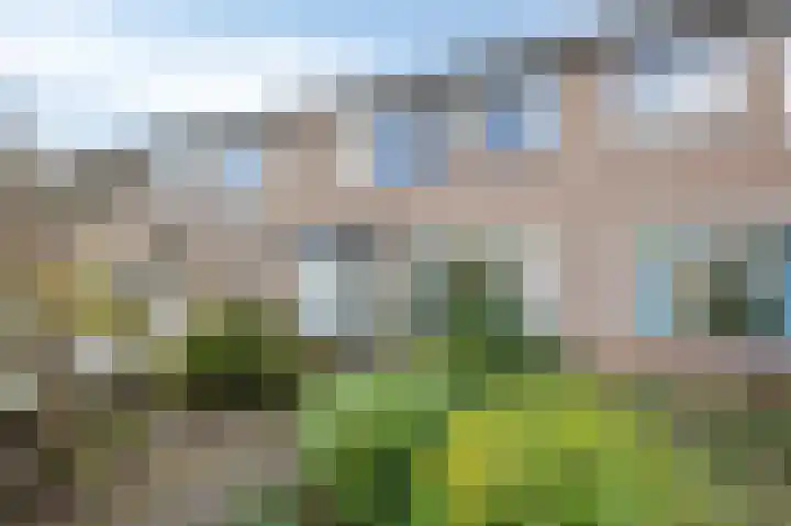Potsmaat 153 Doesburg thumbnail 6