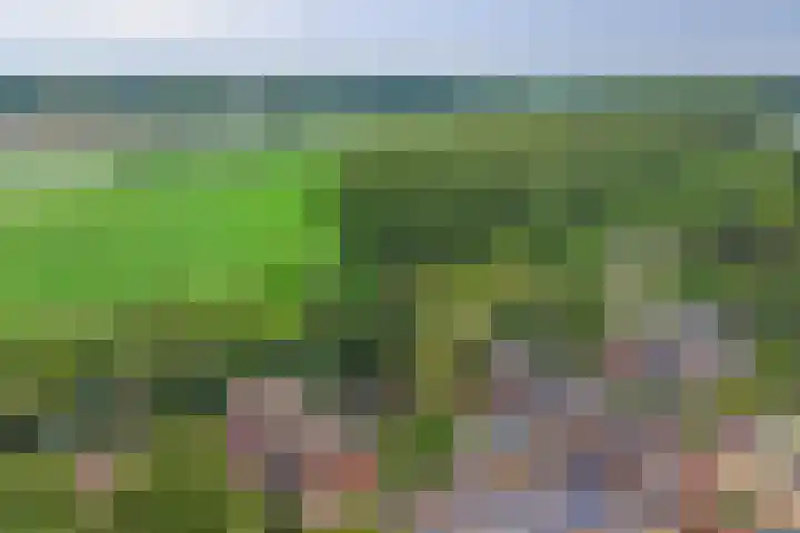 Potsmaat 176 Doesburg thumbnail 24