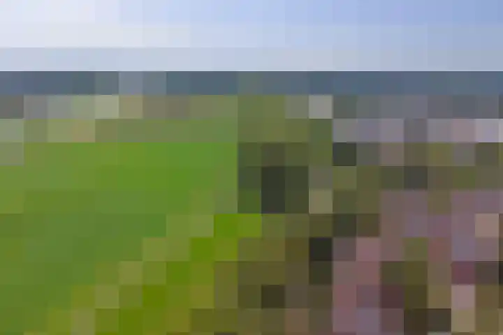 Potsmaat 176 Doesburg thumbnail 25