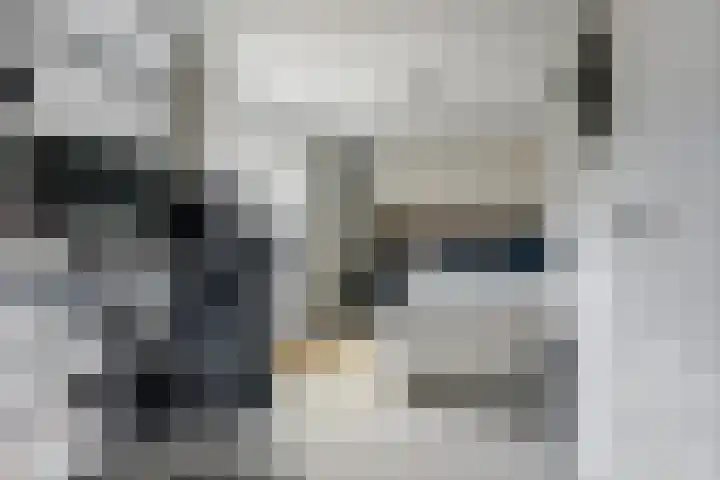 Potsmaat 43 Doesburg thumbnail 11