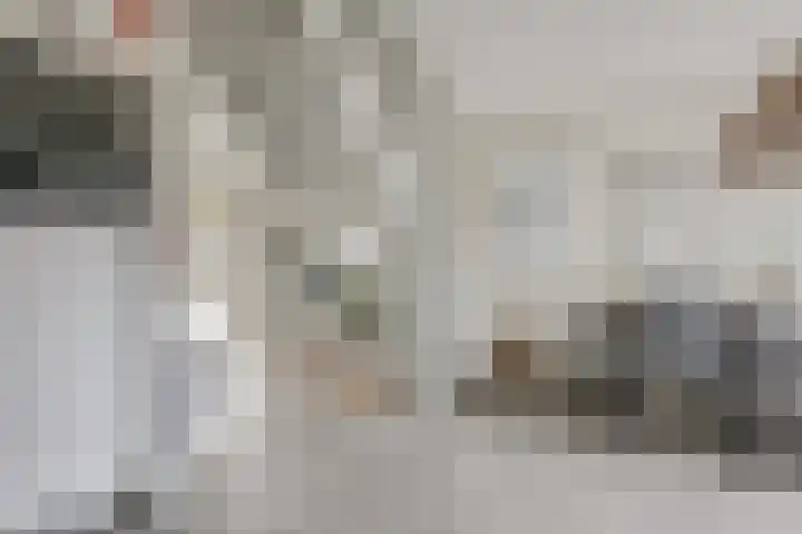 Potsmaat 43 Doesburg thumbnail 22