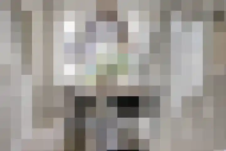 Potsmaat 43 Doesburg thumbnail 26