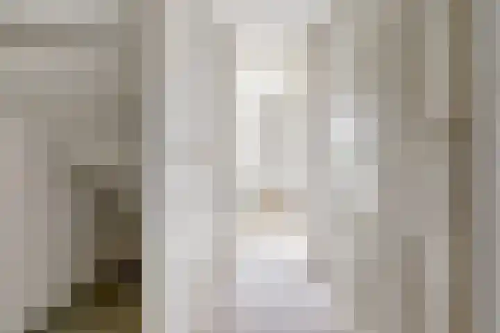 Potsmaat 43 Doesburg thumbnail 31