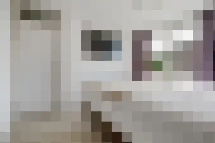 Potsmaat 43 Doesburg thumbnail 33