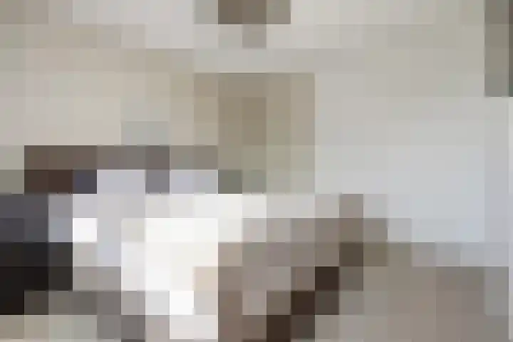 Potsmaat 43 Doesburg thumbnail 34