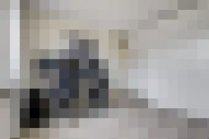 Potsmaat 43 Doesburg thumbnail 38