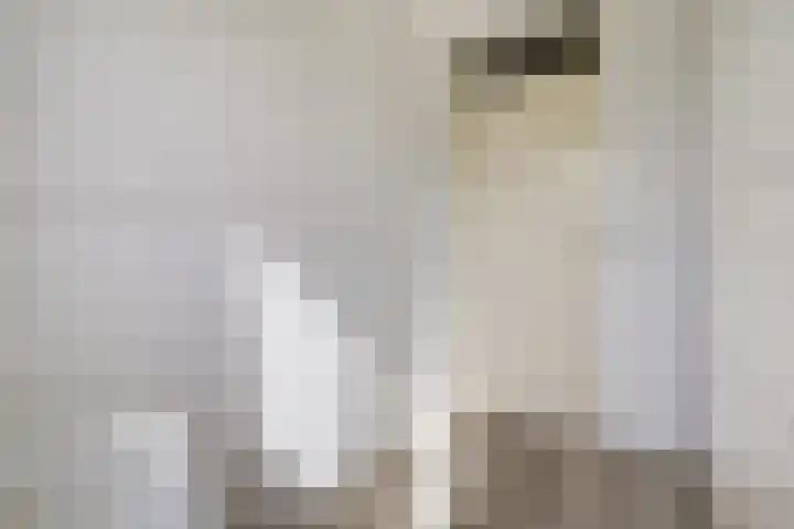 Potsmaat 43 Doesburg thumbnail 40