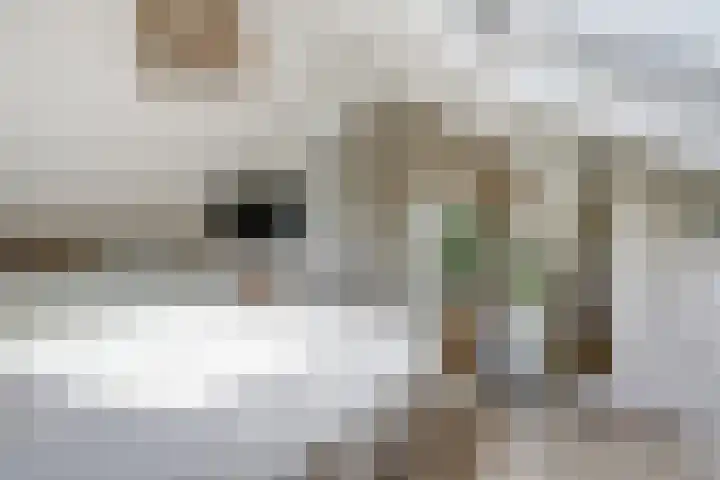 Potsmaat 43 Doesburg thumbnail 43