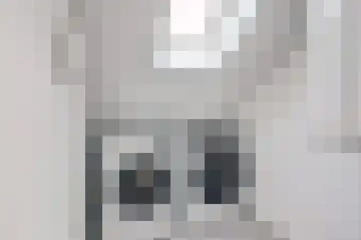 Potsmaat 43 Doesburg thumbnail 48